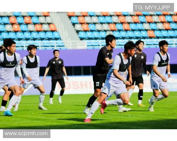 杭州足球队进攻战术解析与球员表现全面分析