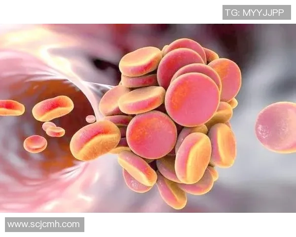 足球明星因心梗突发离世引发全球哀悼与健康警示